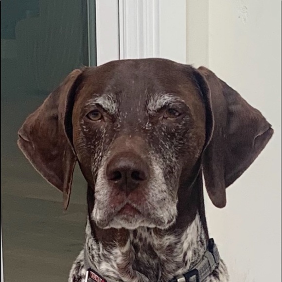 Meet your Posher, Mitchell - Picture 1 of 1